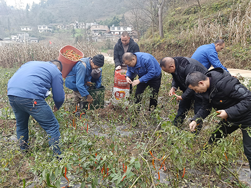 九州酷游(酷游·ku游)官方网站