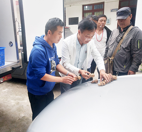 九州酷游(酷游·ku游)官方网站