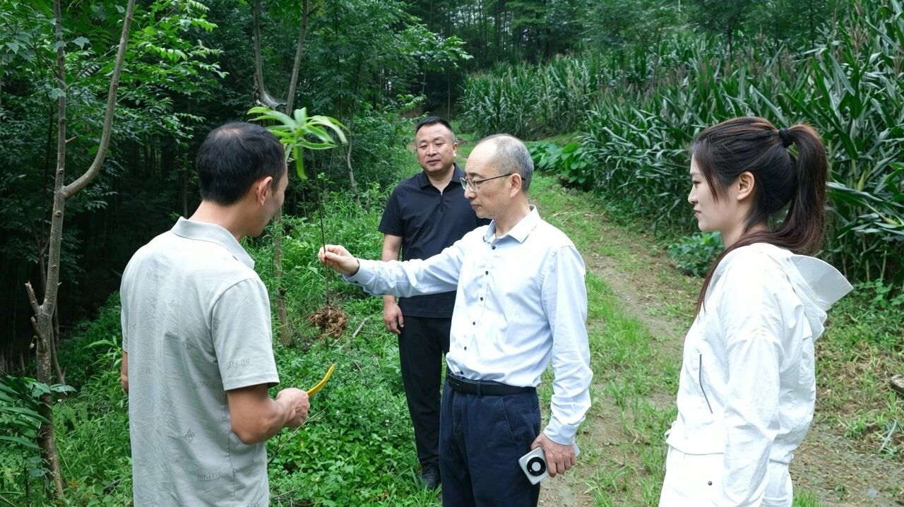 九州酷游(酷游·ku游)官方网站